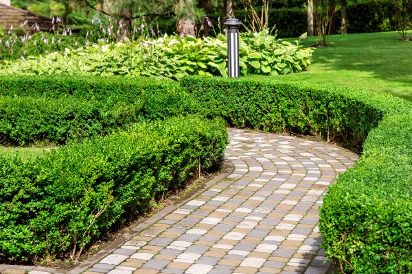 Cost of Paved Landscaping in North Myrtle Beach