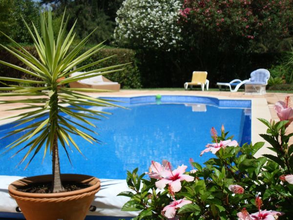 Cost of Pool Terrace Renovation in North Myrtle Beach